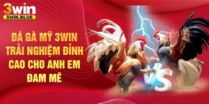 Đá gà Mỹ 3win