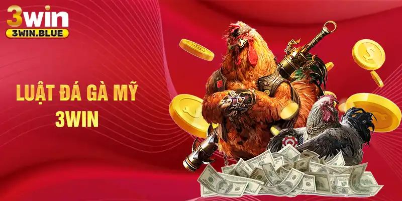 Luật đá gà Mỹ 3win
