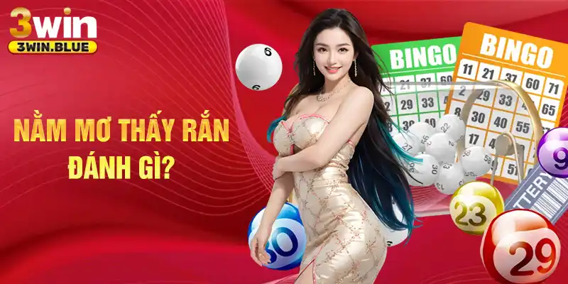 Nằm mơ thấy rắn đánh gì