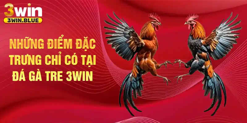 Những điểm đặc trưng chỉ có tại đá gà tre 3win