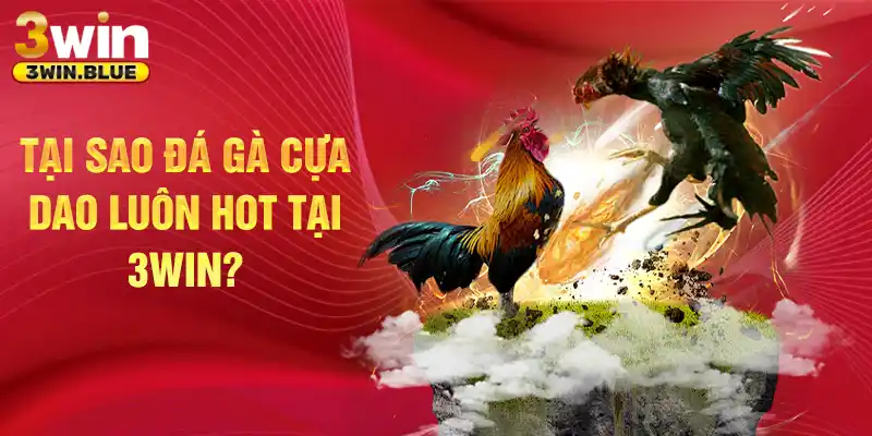 Tại sao đá gà cựa dao luôn hot tại 3win
