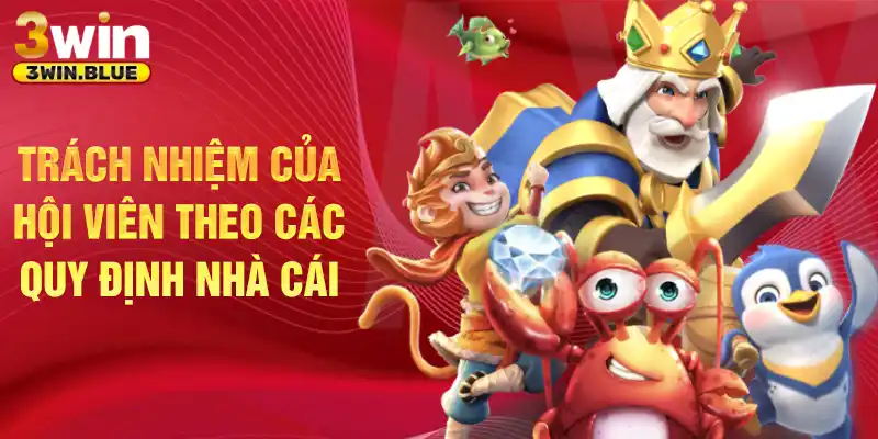 Trách nhiệm của hội viên theo các quy định nhà cái